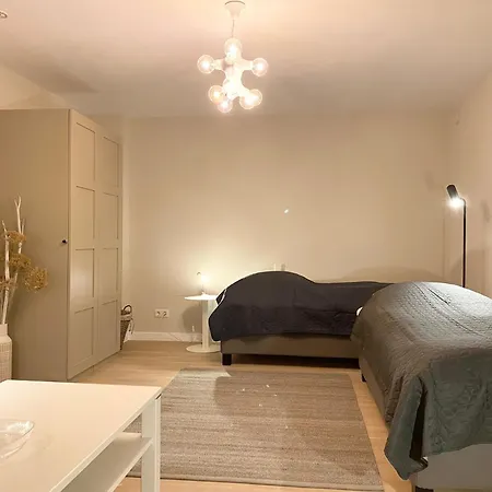 Haus Ziemer 4-zimmerwohnung Nr 4 32b 公寓 韦斯特兰